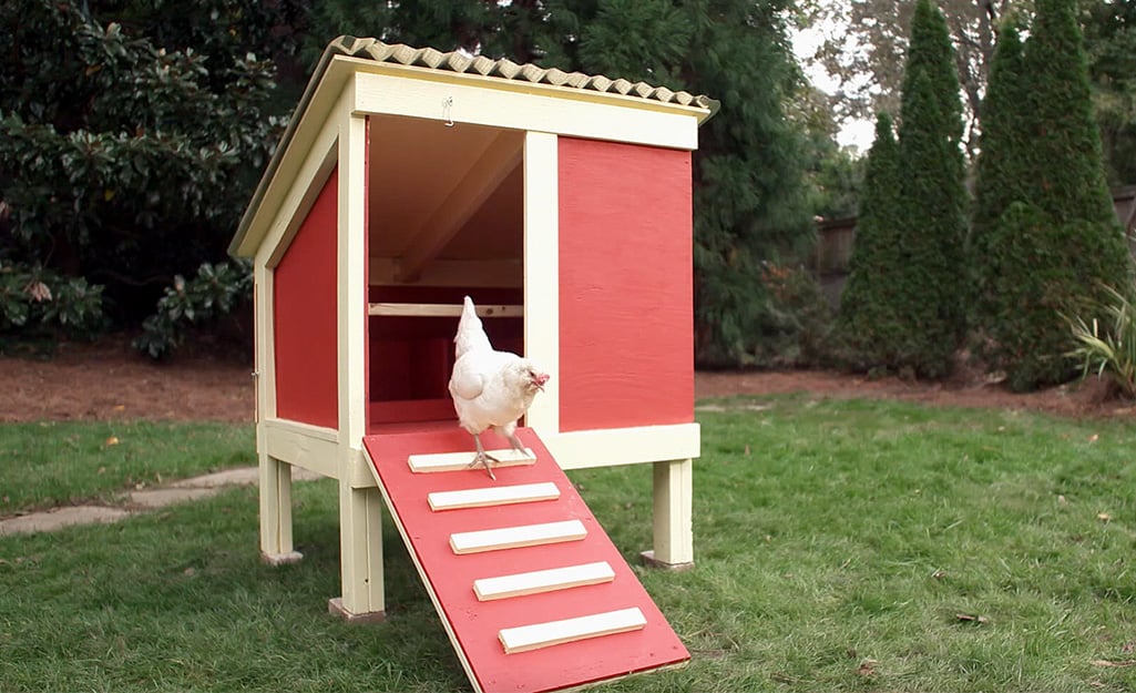 20+ DIY Chicken Coops Ana White